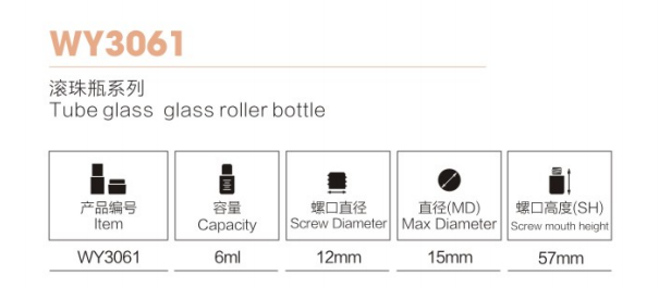 Cosmetische verpakking Tube Glass Roll On Bottle met roestvrijstalen roller voor parfum